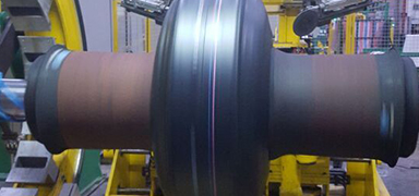 Tire Building Bladder